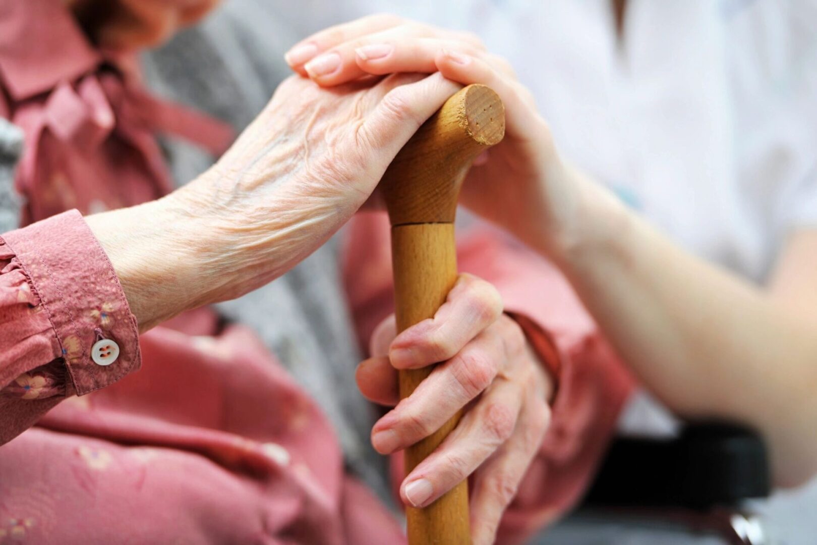 Florida's Best Senior Home Care